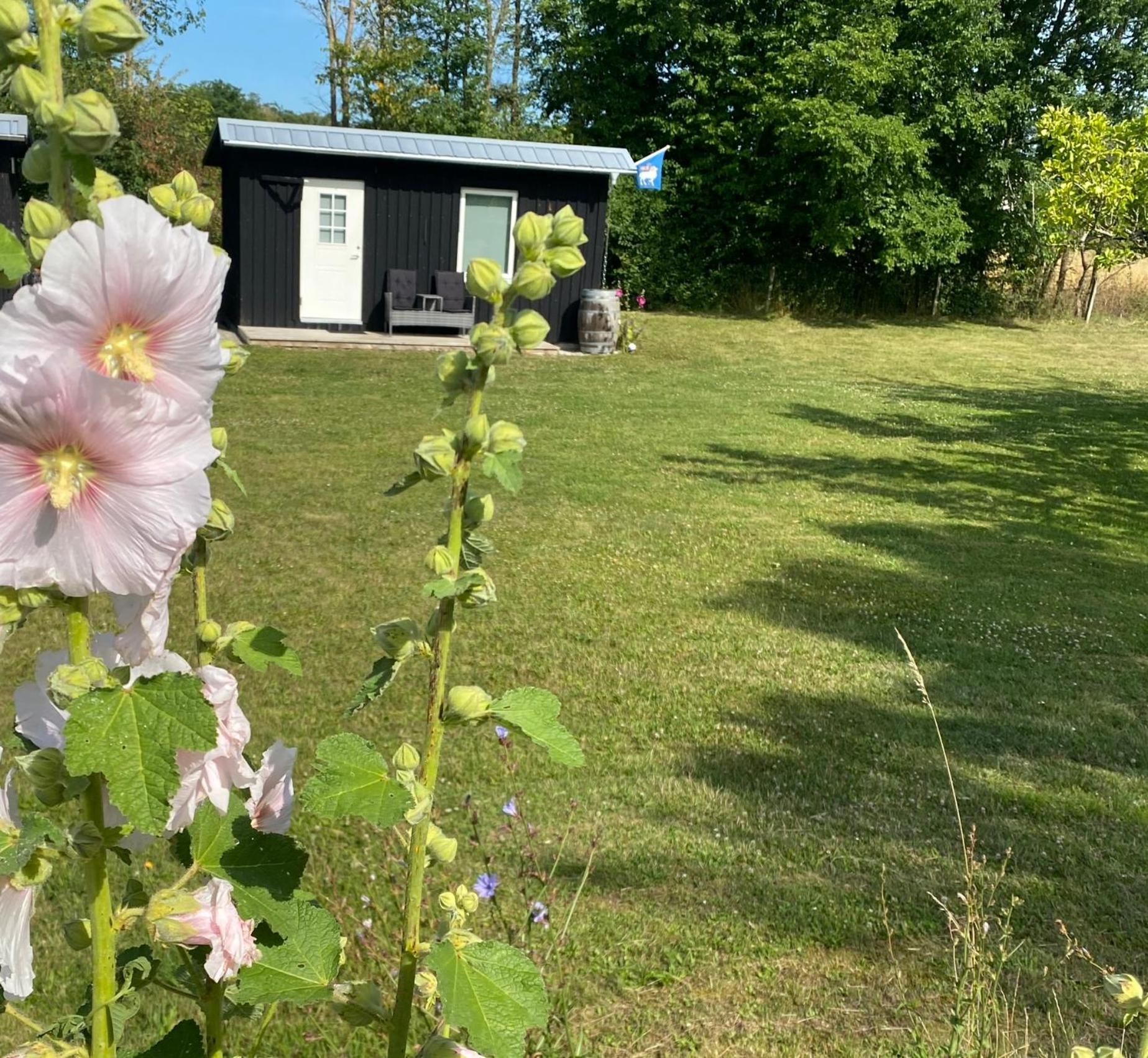 Stuga Romakloster Exteriör bild